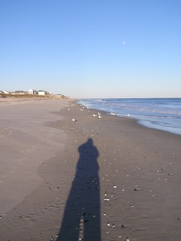 Enlarge photo 49