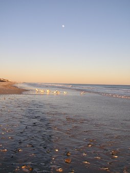 Enlarge photo 43