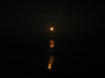 Enlarge photo 44