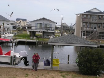 Enlarge photo 49
