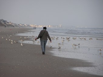 Enlarge photo 16