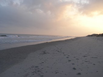 Enlarge photo 36