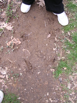 Enlarge photo 55