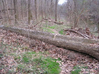Enlarge photo 56