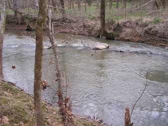 Enlarge photo 57