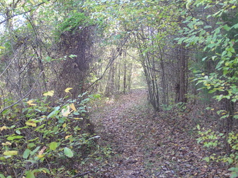Enlarge photo 2