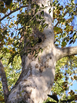 Enlarge photo 16