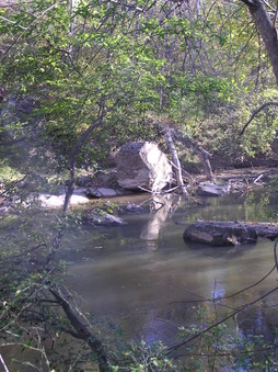 Enlarge photo 17