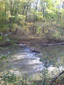 Enlarge photo 19