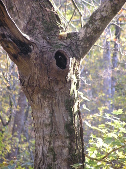 Enlarge photo 20