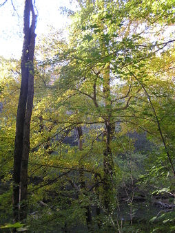 Enlarge photo 21