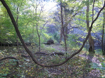 Enlarge photo 22
