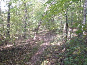 Enlarge photo 23