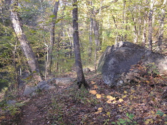 Enlarge photo 25