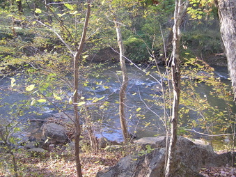 Enlarge photo 26