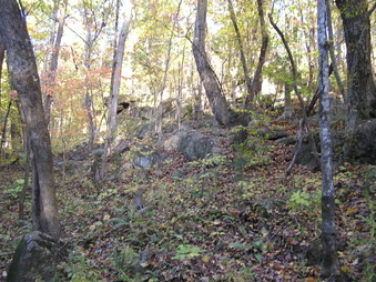 Enlarge photo 28