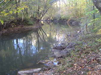 Enlarge photo 29
