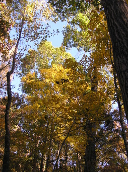 Enlarge photo 30