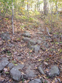 Enlarge photo 31
