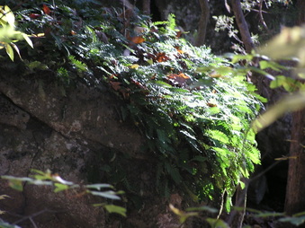 Enlarge photo 32