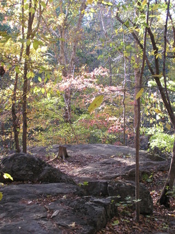 Enlarge photo 33