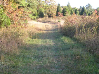 Enlarge photo 35