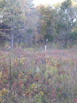 Enlarge photo 44