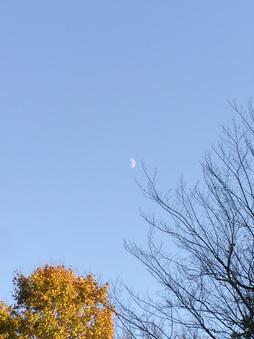 Enlarge photo 47