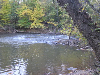 Enlarge photo 48