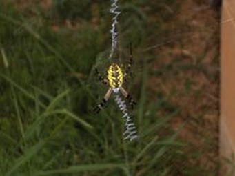 Enlarge photo 56