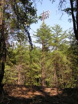 Enlarge photo 54