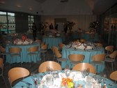 Enlarge photo 62