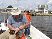 Enlarge photo 15