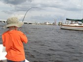 Enlarge photo 26