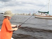 Enlarge photo 25