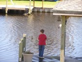 Enlarge photo 31
