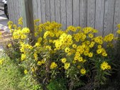 Enlarge photo 34