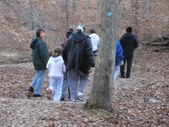 Enlarge photo 17