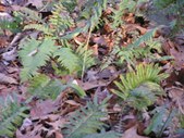 Enlarge photo 19