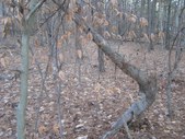 Enlarge photo 26