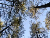 Enlarge photo 30