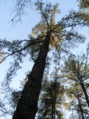 Enlarge photo 35