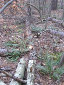 Enlarge photo 34