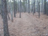 Enlarge photo 36