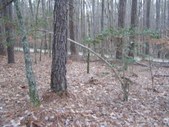 Enlarge photo 40