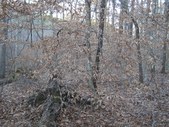 Enlarge photo 42