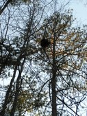 Enlarge photo 43