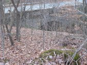 Enlarge photo 45