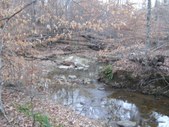 Enlarge photo 47