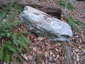 Enlarge photo 49